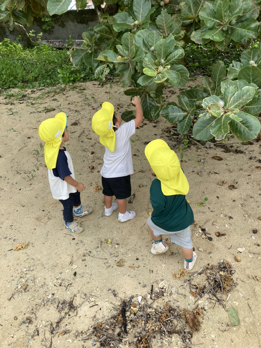 さんごダウンロード (71)