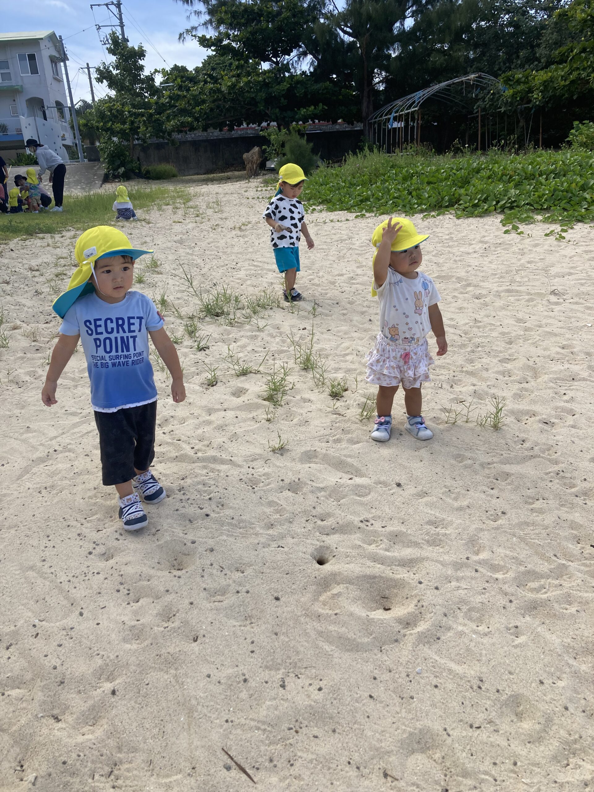 さんご写真 (44)