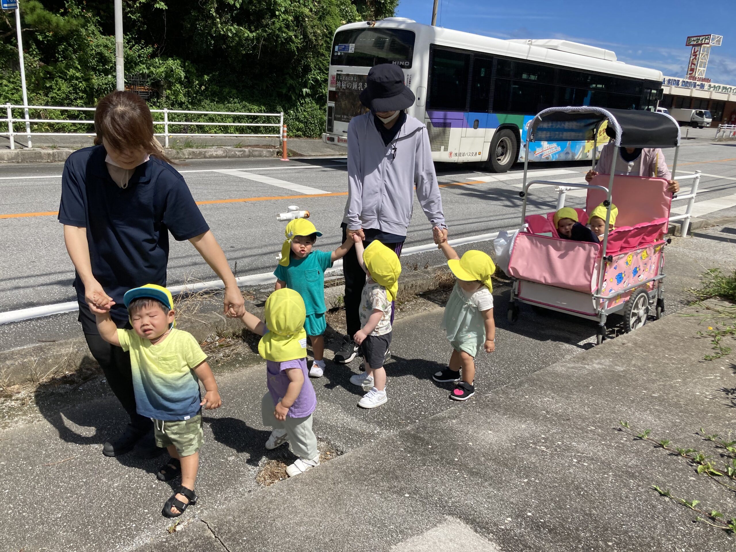 さんご写真 (51)