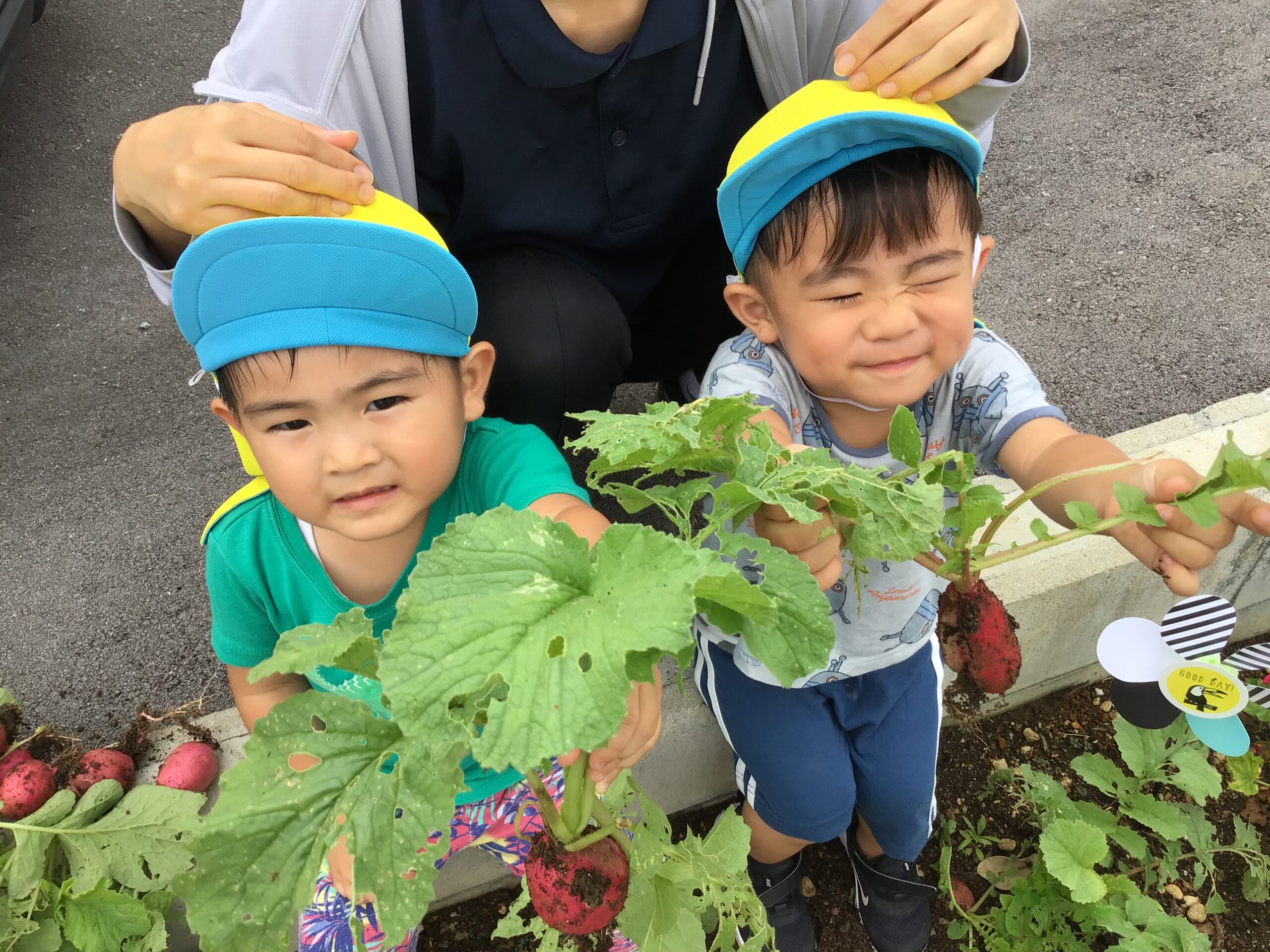 さんご写真 (30)